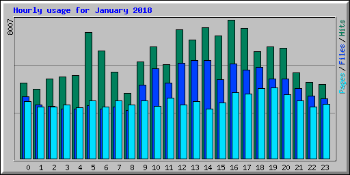 Hourly usage for January 2018